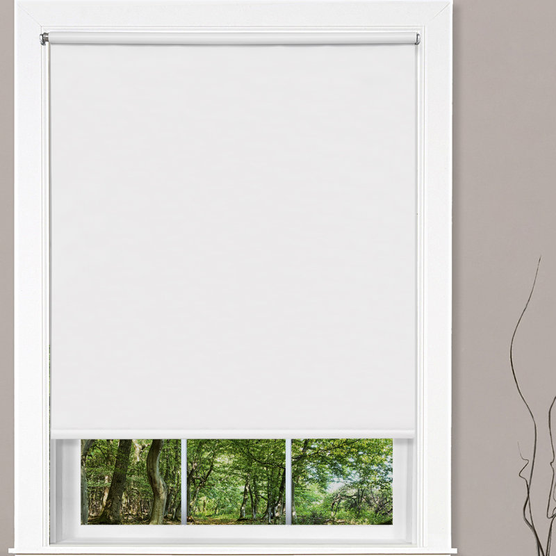 Symple Stuff Cords Free Tear Down Roller Shade & Reviews Wayfair